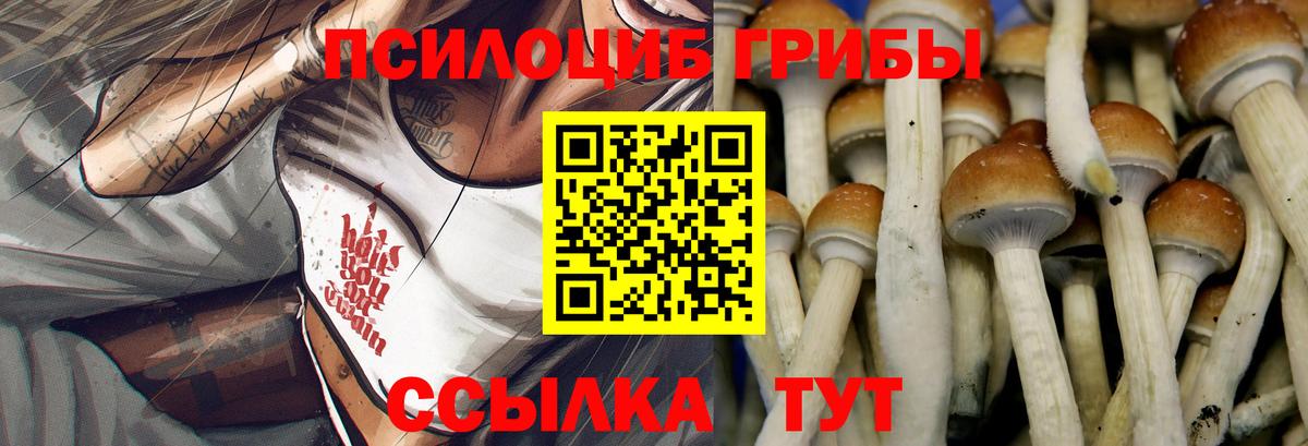Архангельск  Галлюциногенные грибы прущие грибы  Галлюциногенные грибы Psilocybine cubensis  Вход с VPN 